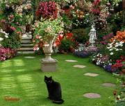 ������ ������� �� ����