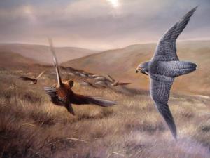 ������ ������� ��������