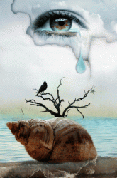 ������ ������� ��� ����