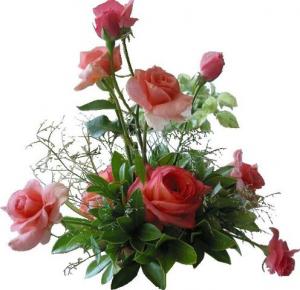 ������ ������� ���� �����